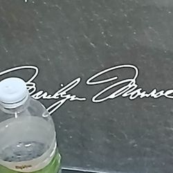 Marlin MONROE PAINTING WITH FRAME 