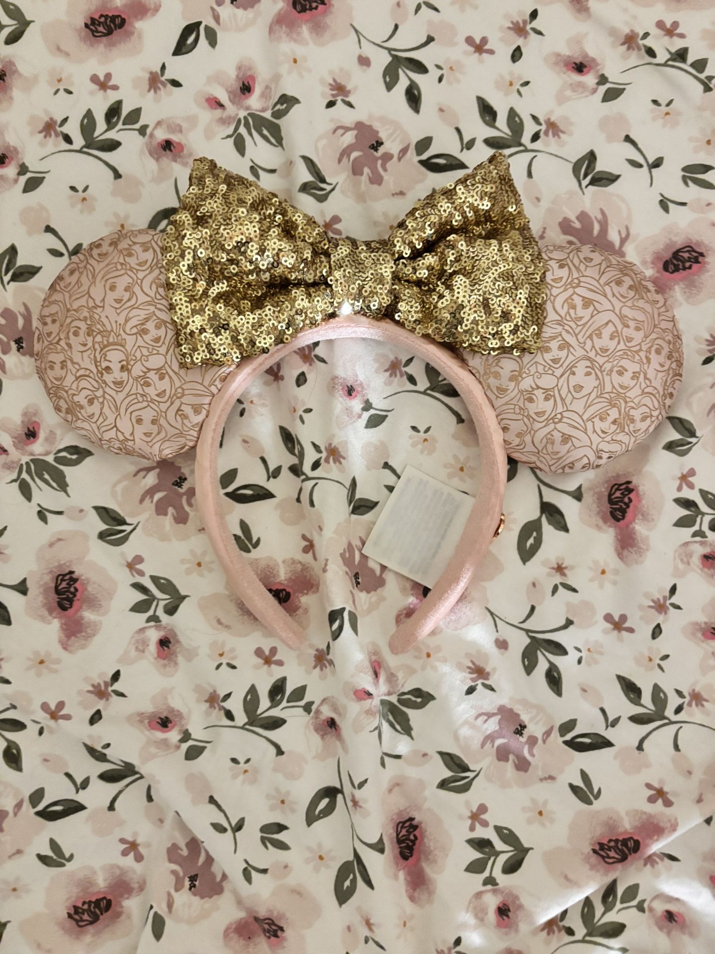 Disney Ear 