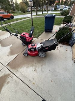 Lawn and snow