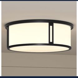 New Ceiling Light Fixture