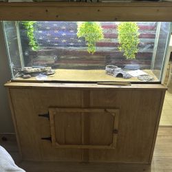 Leopard Geckos + Tank 