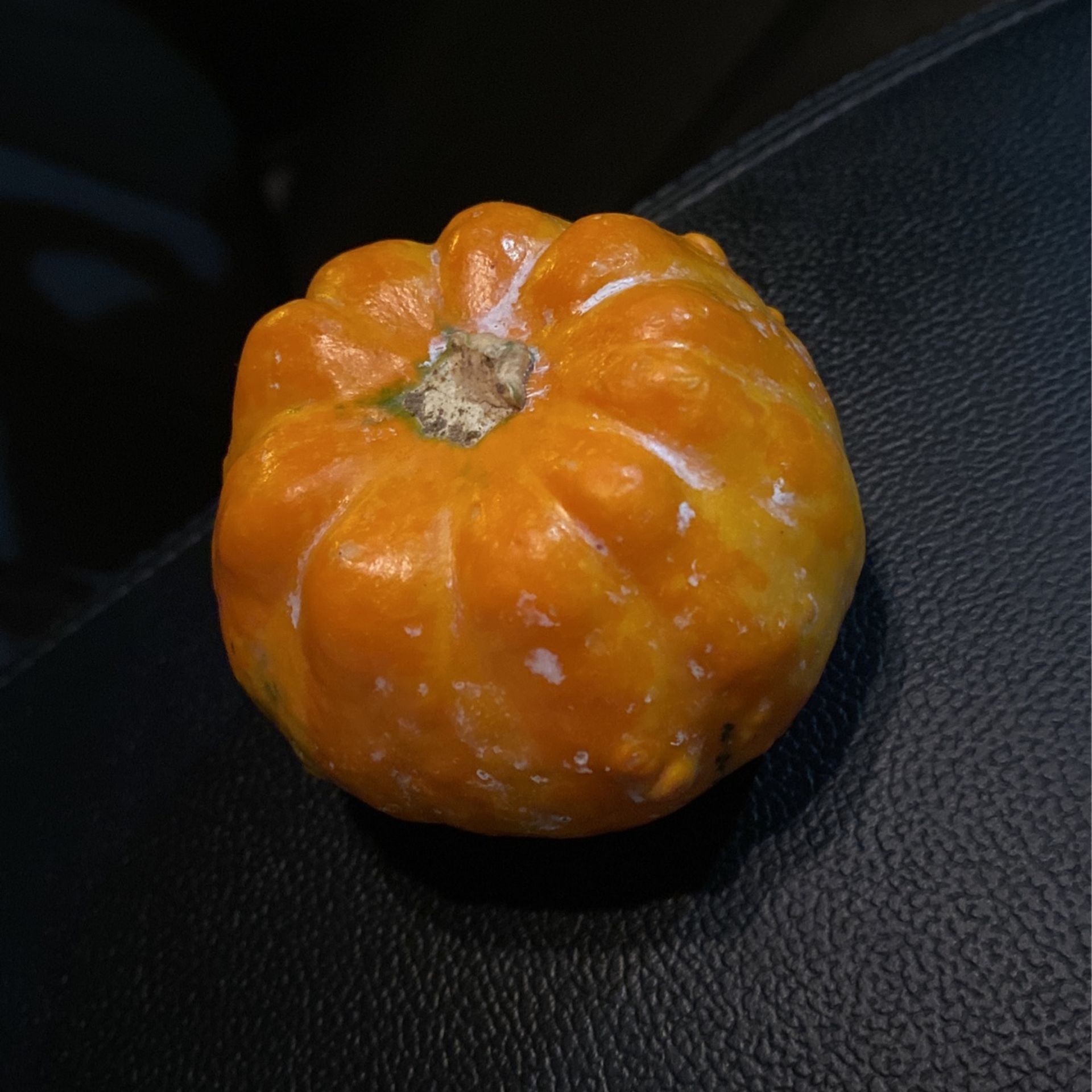 Fake Pumpkin Knick Knack Novelty Item