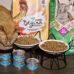 Cat Food