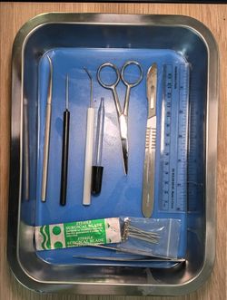 Dissecting Kit Biology Anatomy Lab Tools Set With Case Student Use