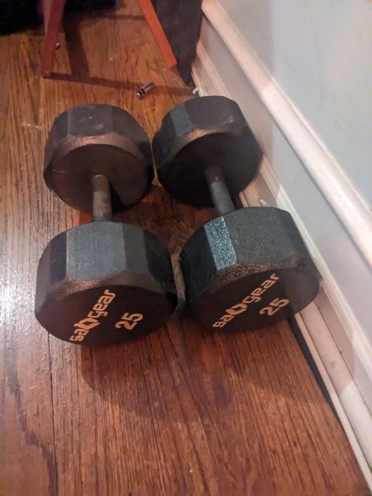 25 Lb Dumbbells (Pair)