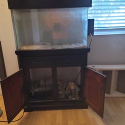 30" Long x 12"wide x 17"Tall. Fish Tank with Accessories/Filter/light, Rocks,Sand. 