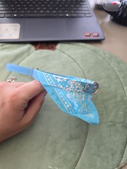 Small Dog Collar