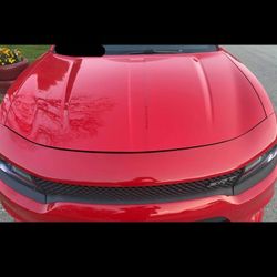2015 Dodge Charger Hood Rt 