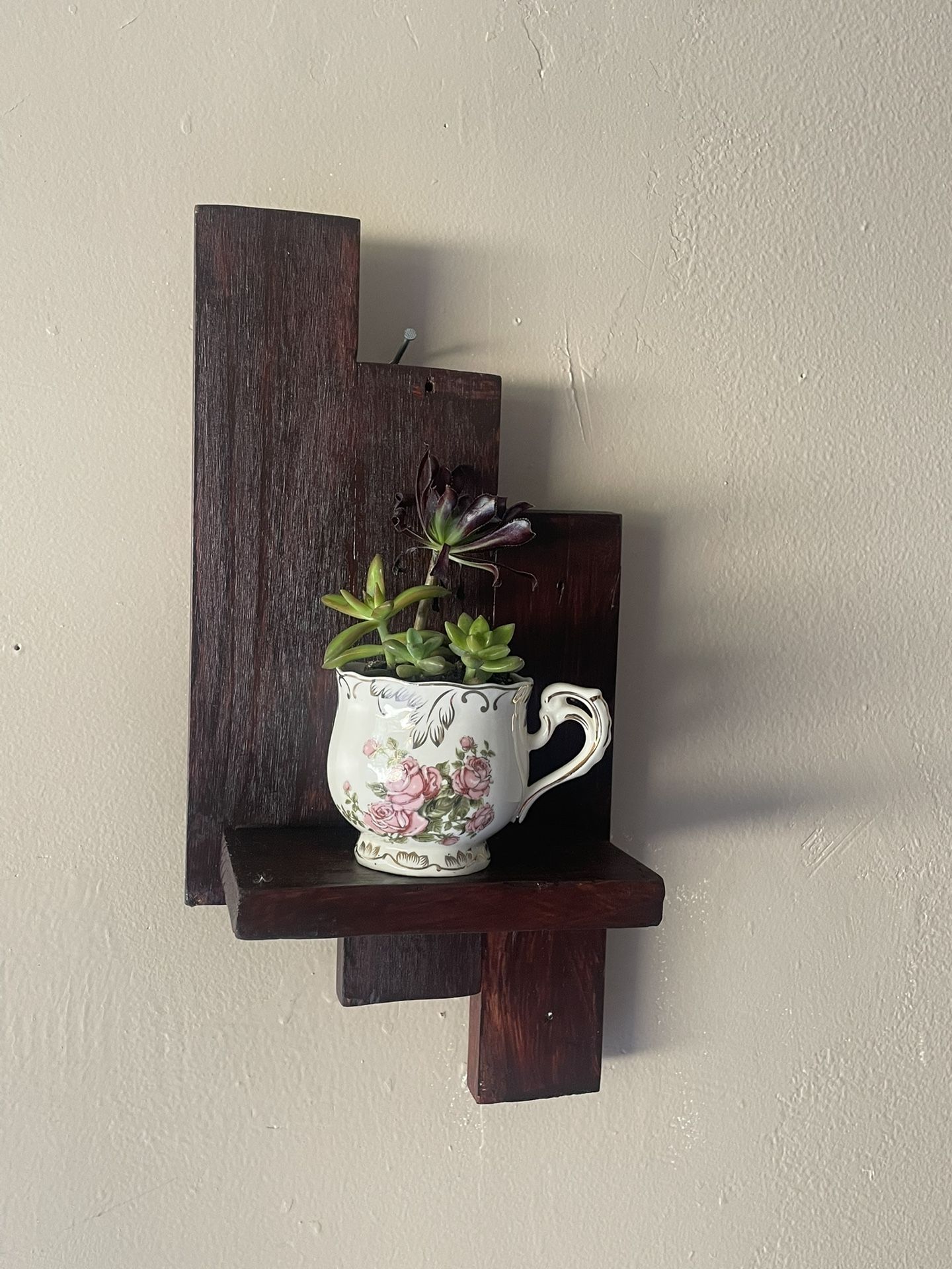 shelf with real succulents