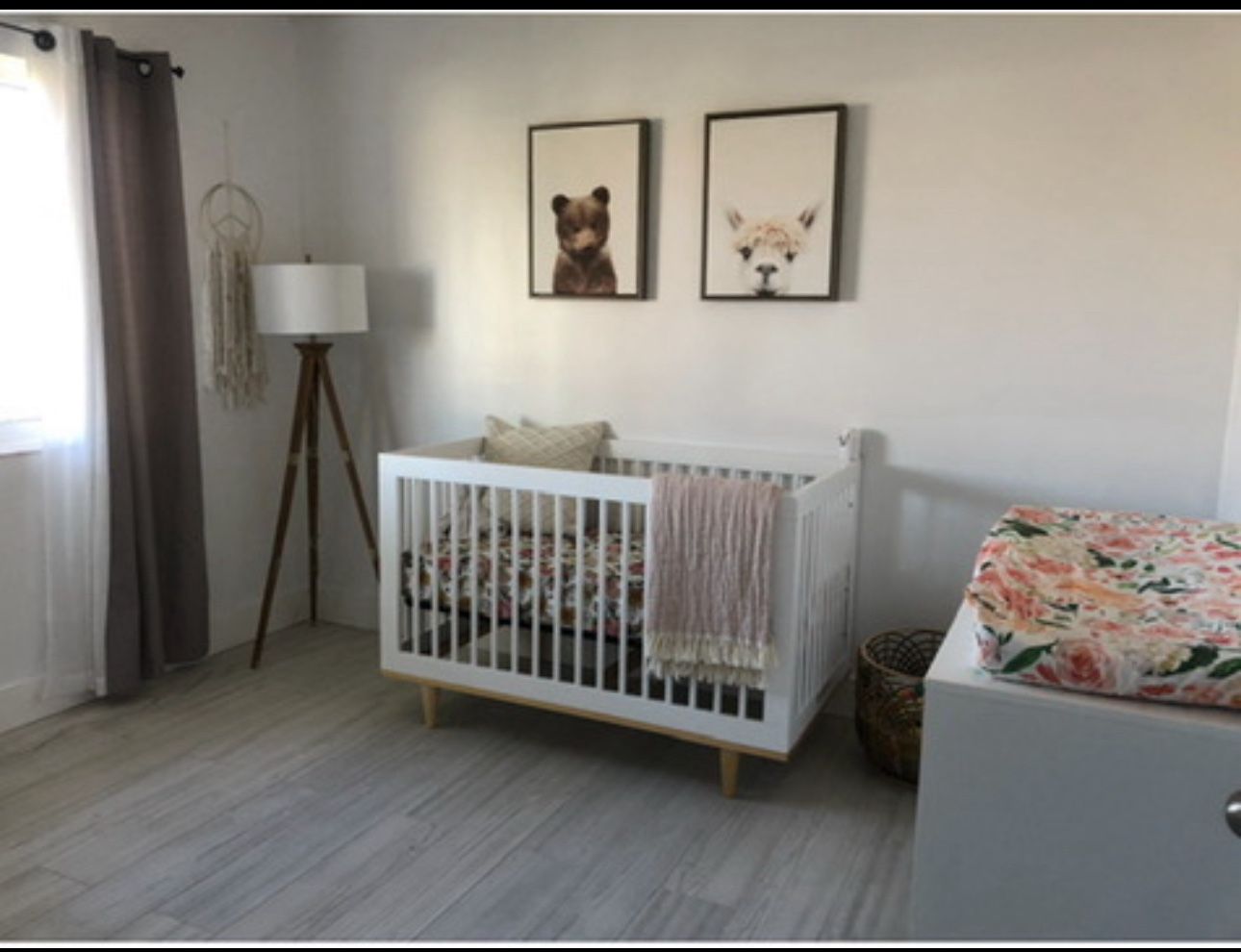 Baby Llama And Baby Bear Picture Frames