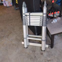 Telescope Ladder 