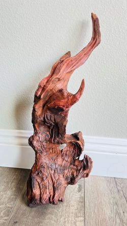 Natural Driftwood Root Sculpture