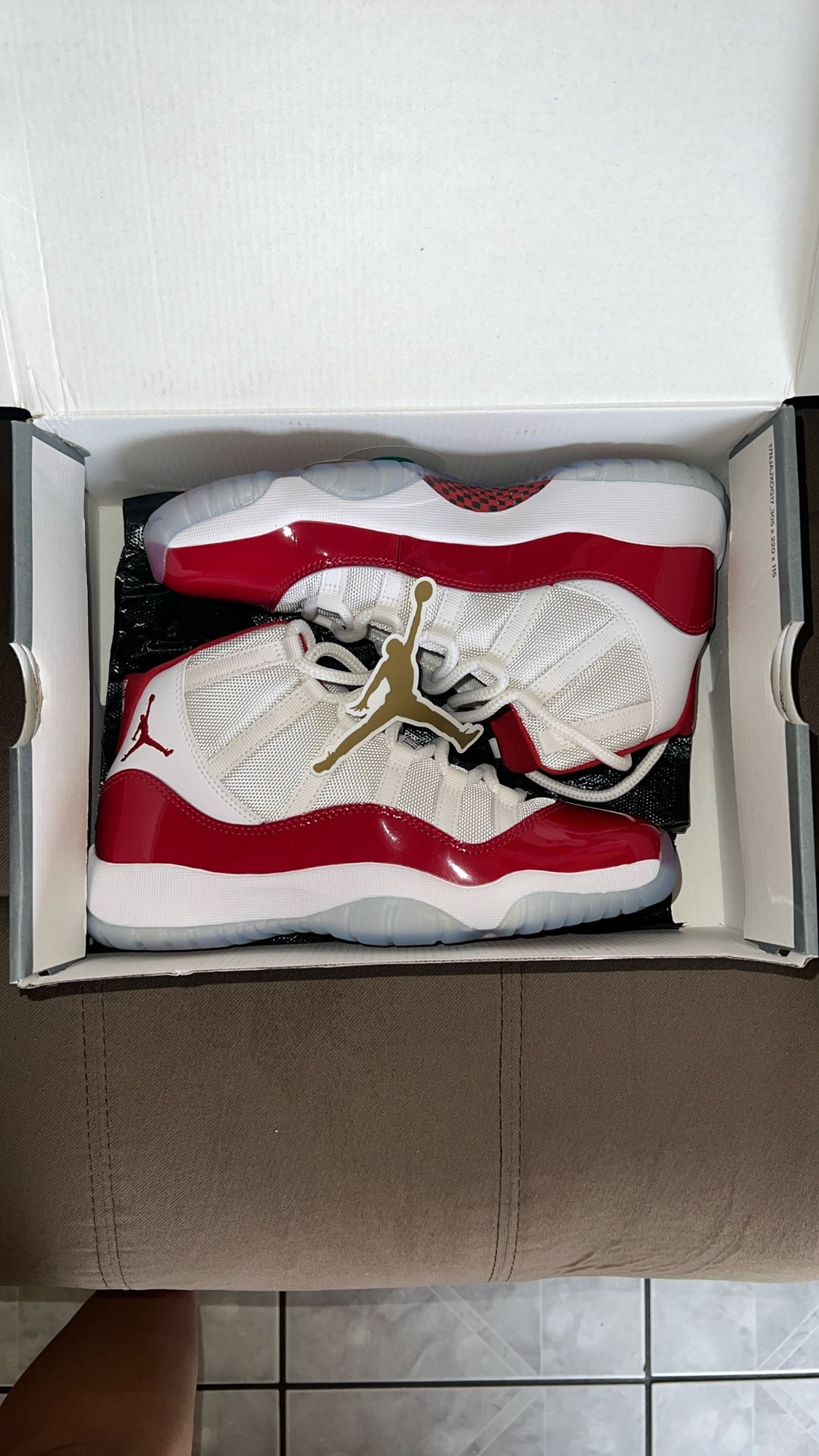Air Jordan 11 Retro