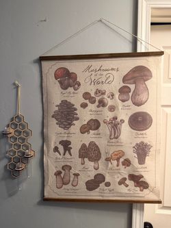 EARTHBOUND wall decor