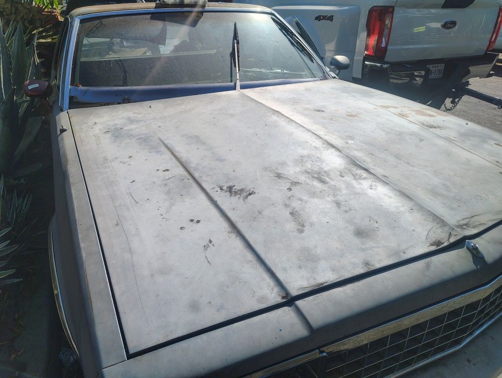 78-88 Elco Hood