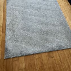 Saten Rug Gray Size: 5'2"X7' - 160x213 cm - Moving Need Gone Asap 