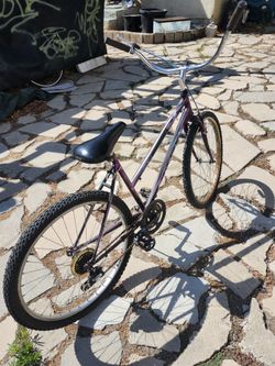 Lynx Bike