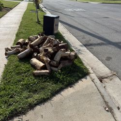 Free Firewood & Mini Fridge 