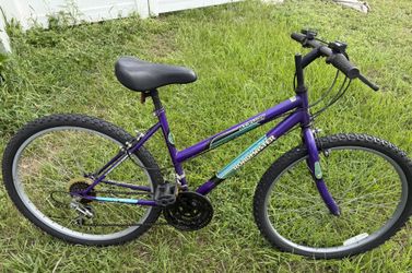 Woman's Roadmaster Mt Furry