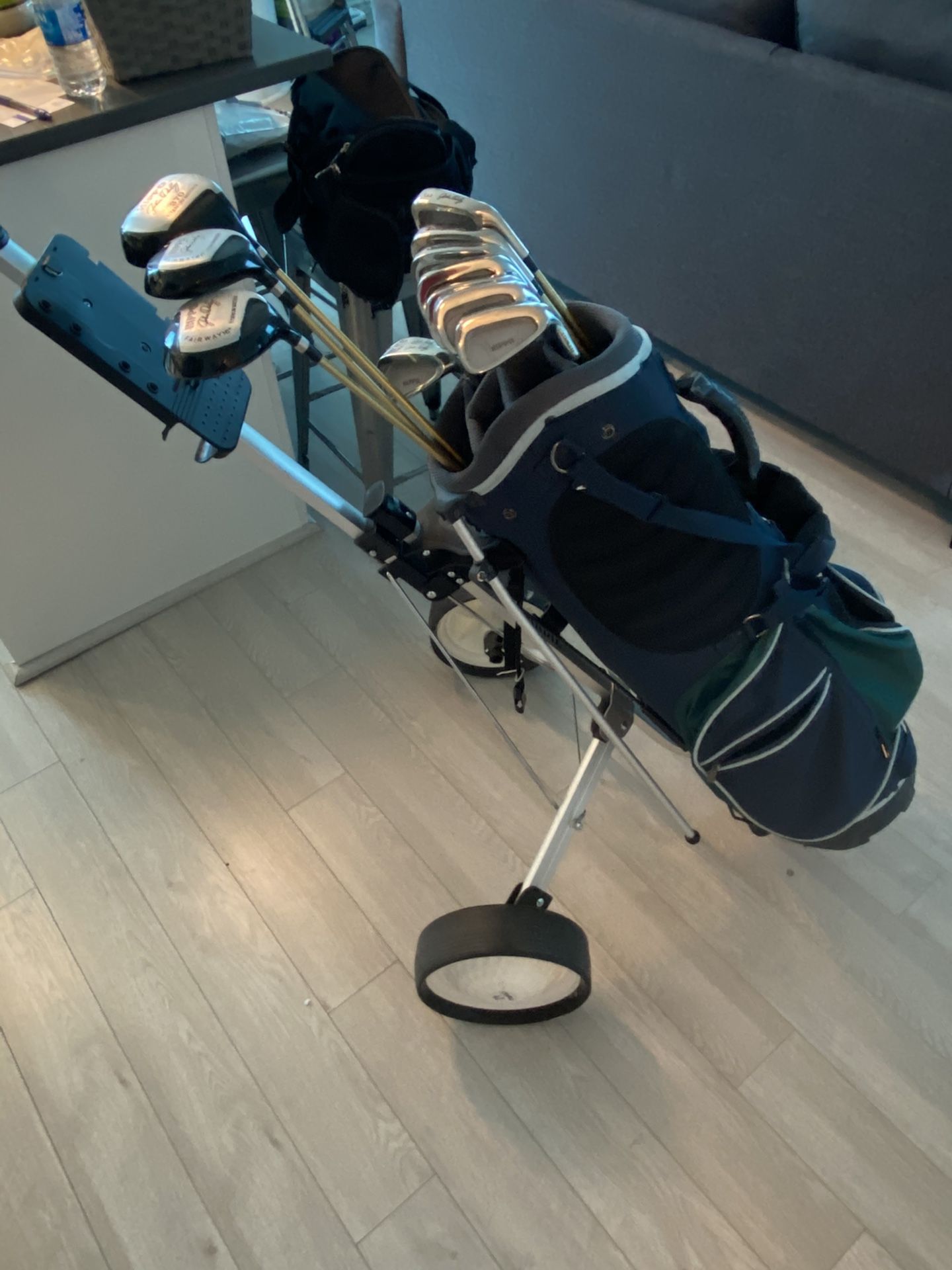 John Daly Hippo Golf Clubs and Birdie Cart for Sale in Reston, VA OfferUp