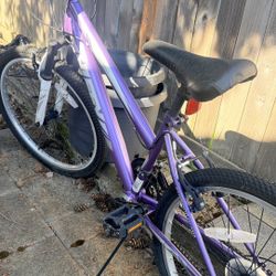 The highland Huffy Bike