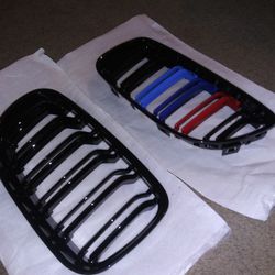 BMW Front Kidney Grill