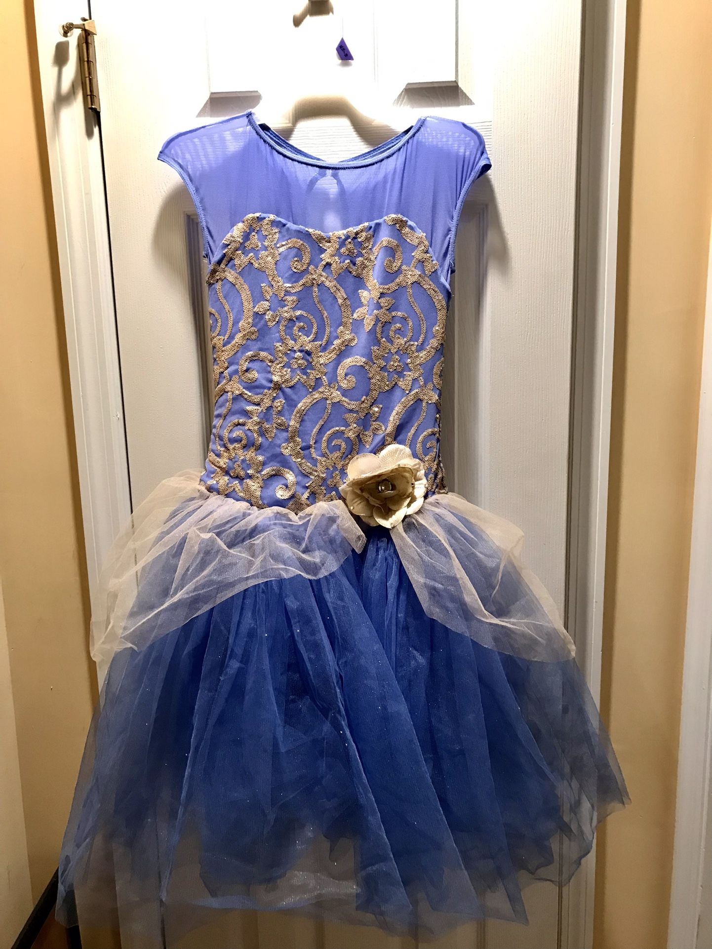 Blue Princess Costume, 👗 Dress, Ballerina Dress, Formal Dress