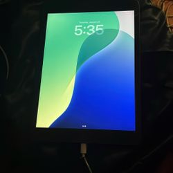 iPad 