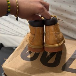 Timberland Toddler Boy