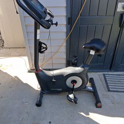 Schwinn Excersise Bike  Mp3 Ready 