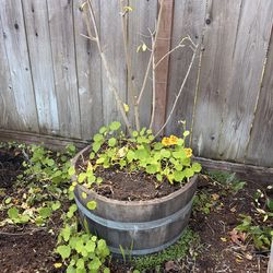 FREE half wine barrel pots, plastic pots, potting bench