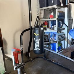 Everlast Punching bag and stand