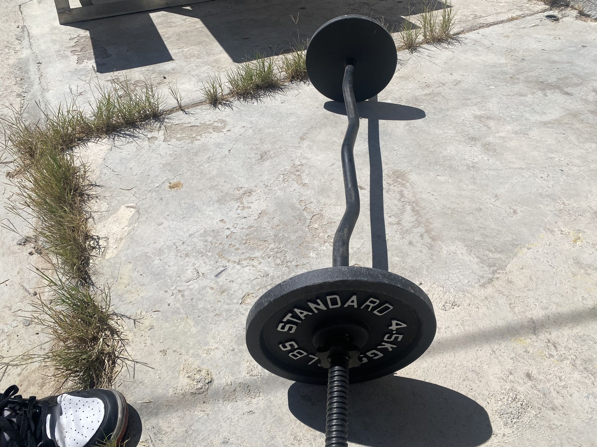 Curl Bar