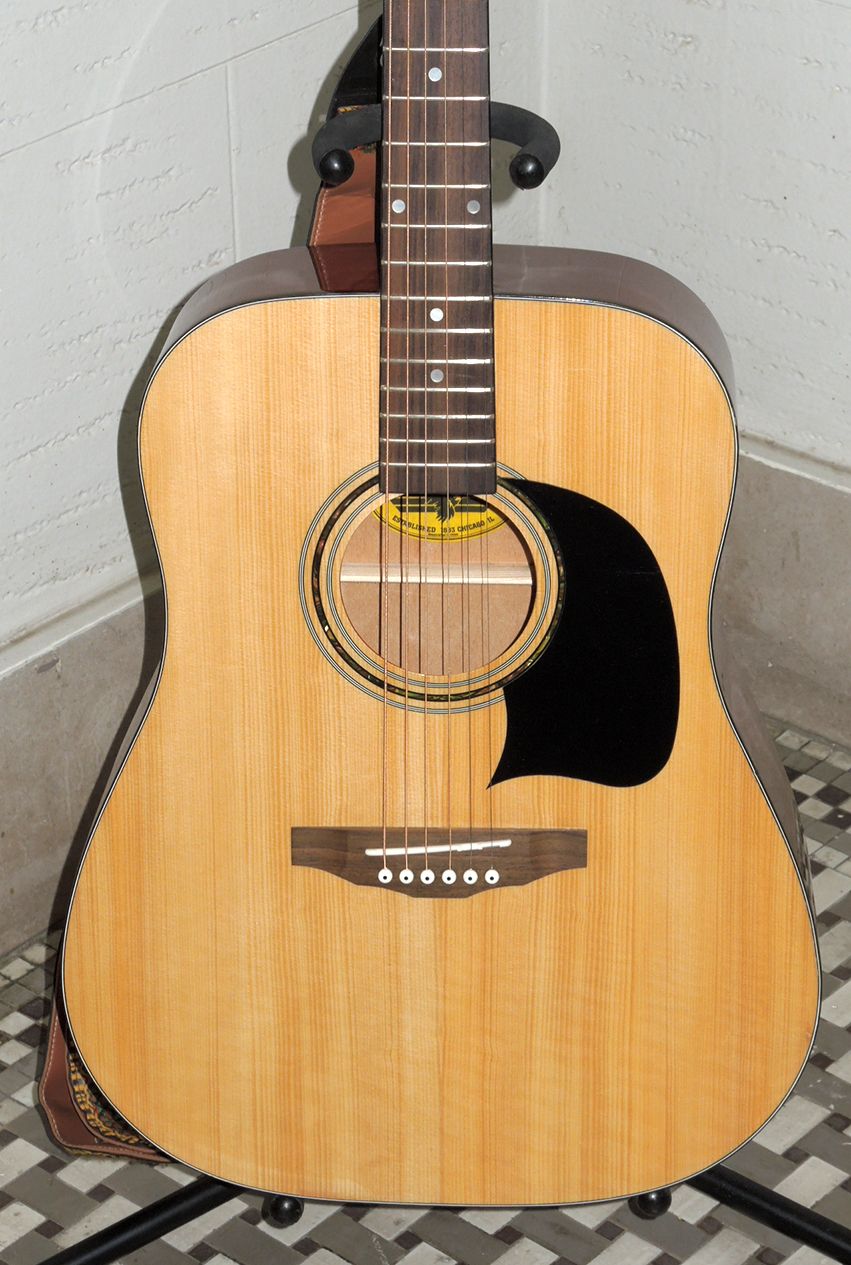 Lyon acoustic guitar sale by washburn value