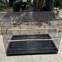 Black Bird Cage