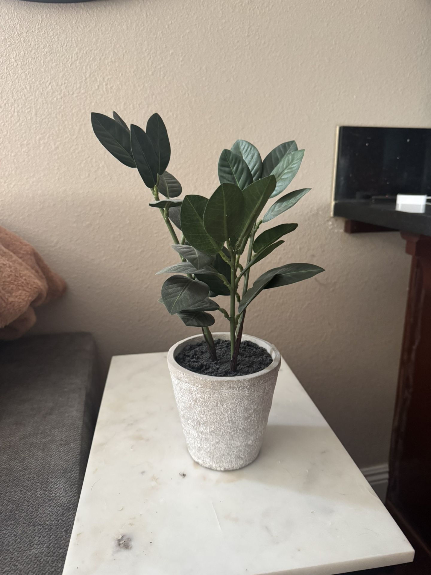 Faux Green Table plant