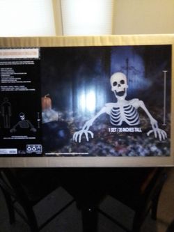 Groundbreaker Skeleton