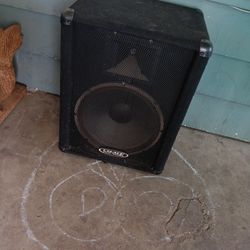 Crate Pro Audio Speaker