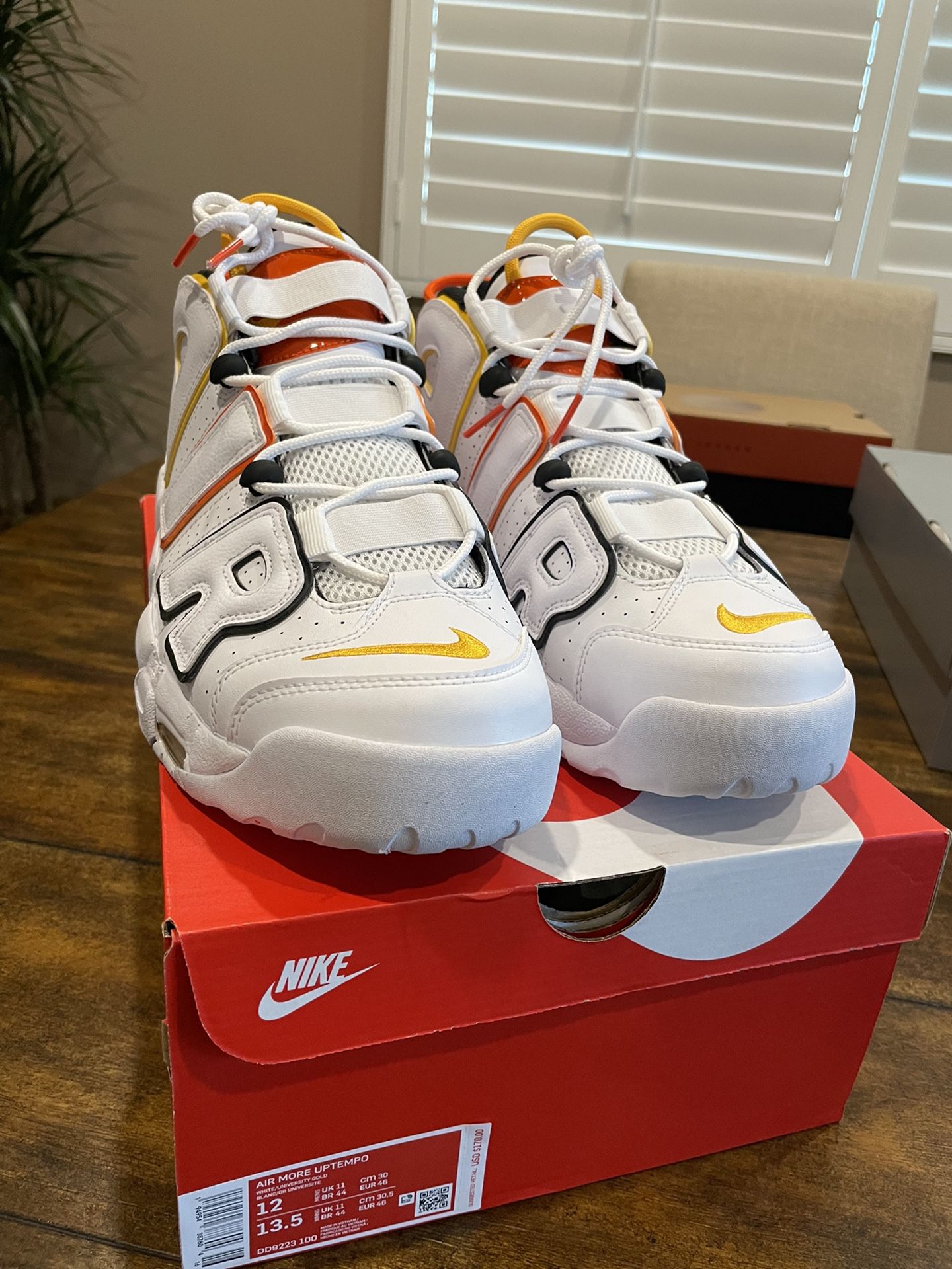 Nike Air More Uptempo Rayguns