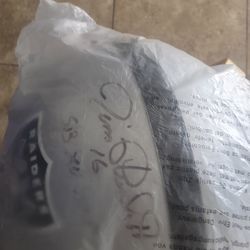 Oakland Raiders Jim Plunkett autographed