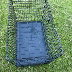 Two Door Pet Kennel 35.5 X 22 X 24.5