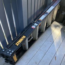 Dewalt Ladder