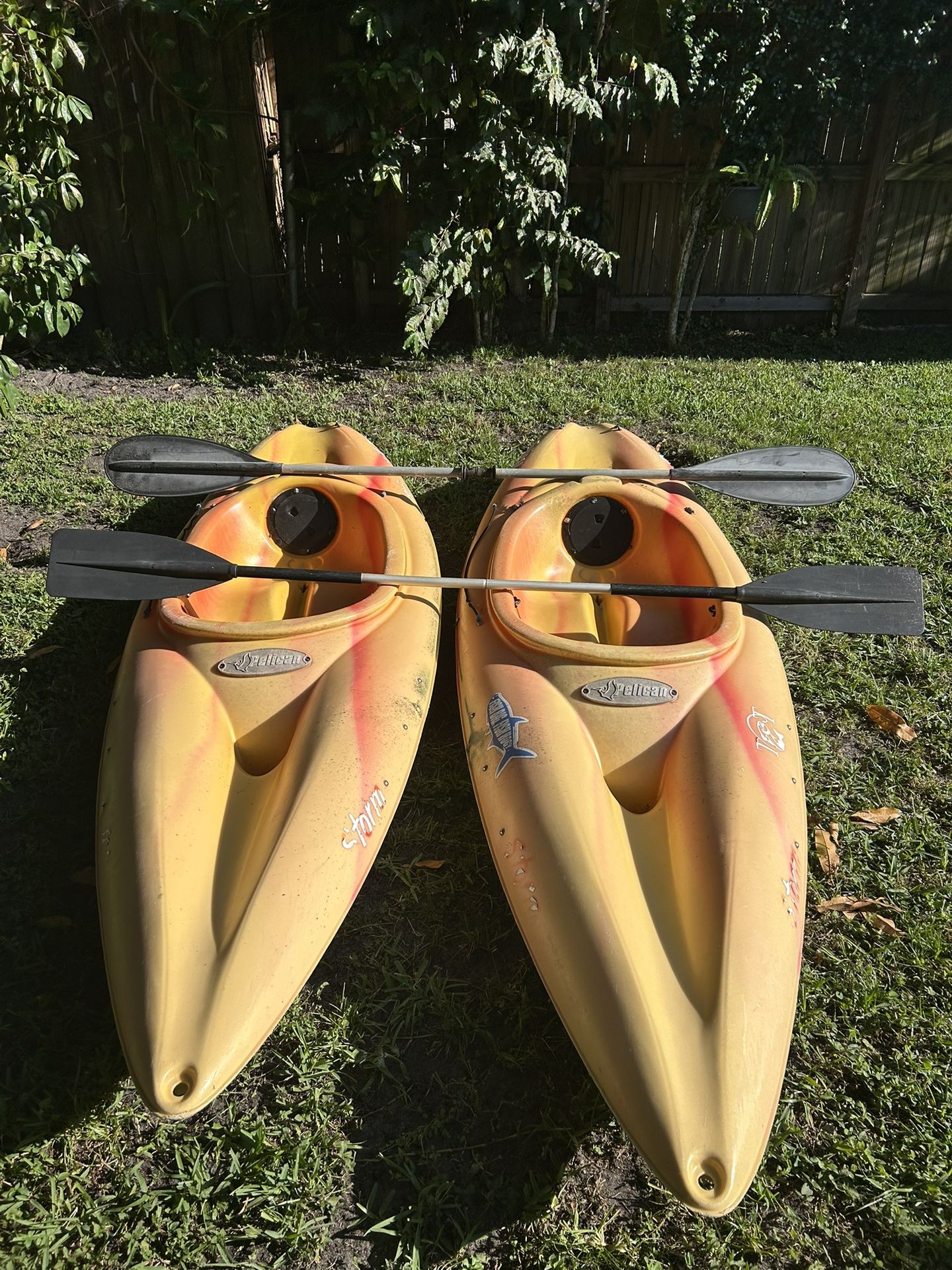 Kayak