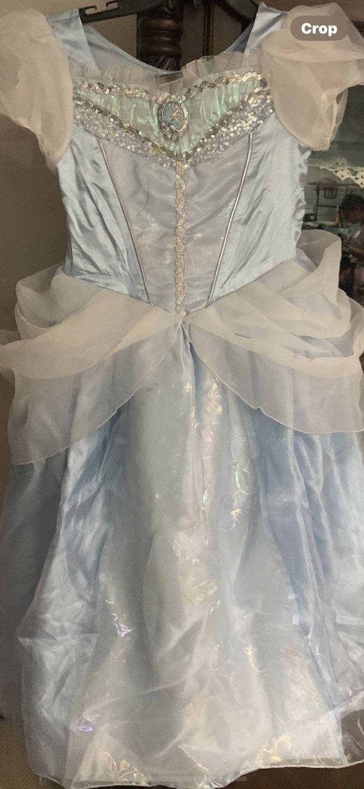 Cinderella Disney Custom