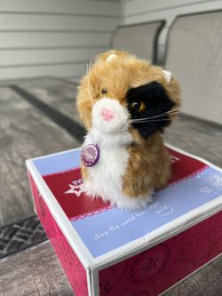 American Girl “Ginger” Cat