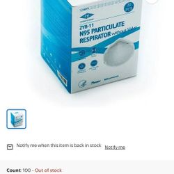 N95 Masks