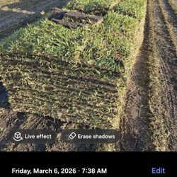 Farm Fresh Sod Delivery 