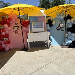 Gender Reveal Back Drop 