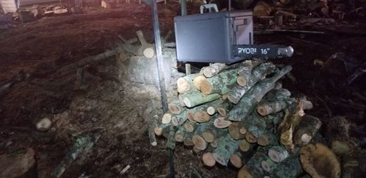Oak BBQ and Fire wood. Delivery available