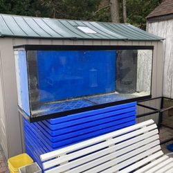 Fish Tank And Stand  5 Ft By 18 By 30